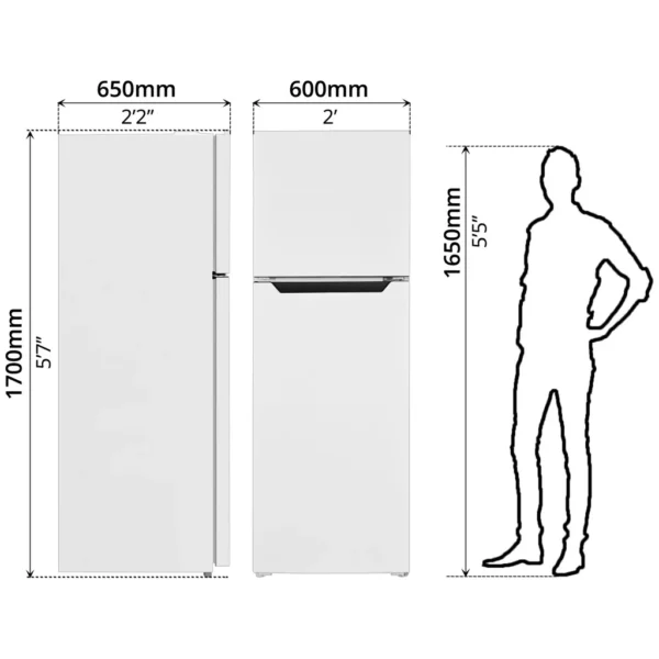 TCL REFRIGERATOR 338L - 47182 - Image 5
